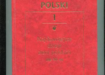 Wielka Historia Polski T.1 Najdawniejsze dzieje ziem polskic