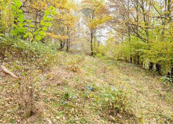 Działka rolna 393 m² w Oczkowie – blisko jeziora