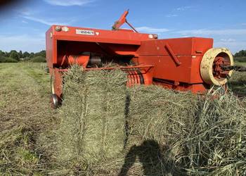 Siano Słoma kostka 2025