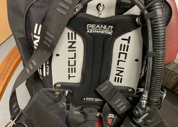 Skrzydło Tecline Penaut 16