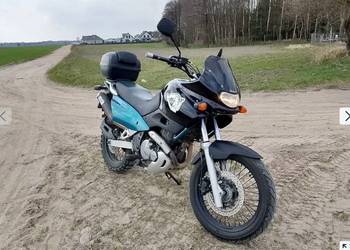 Suzuki 650xf enduro freewind lub zamienię