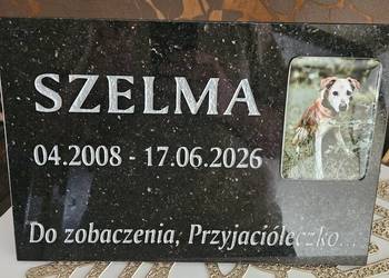Pomnik dla psa