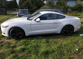 Syndyk sprzeda Ford Mustang