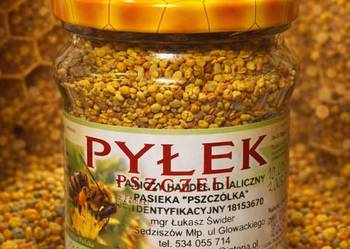 Pyłek pszczeli kwiatowy słoik 0,5 l. - z własnej pasieki