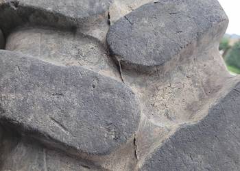 Opona do koparki 10.00-20