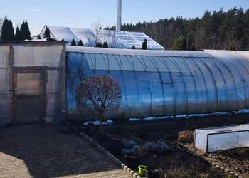 Hala namiotowa / tunelowa