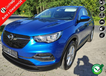 Opel Grandland X Zadbany i ekonomiczny. Polecam