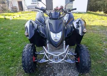 Quad Adly 300