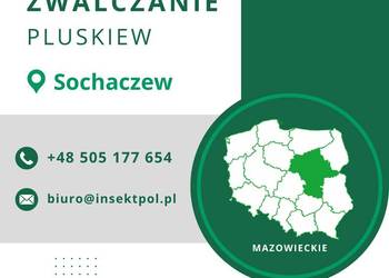 Zwalczanie pluskiew Sochaczew - Skuteczna Dezynsekcja, Odpluskwianie