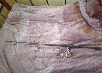 Wędka+kołowrotek spining Jaxon Grey Stream 2.4M 4-17g kołowrotek mikado