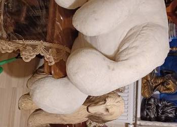 OGROMNY MIEKKI CIEZKI MA PLAMKI DO OCZYSZCZENIA NIEDZWIEDZ POLARNY MIS