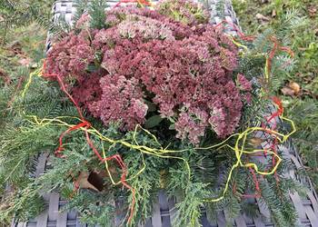 Eco wiązanki na cmentarz.