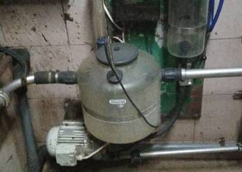 Dojarka Westfalia z hali udojowej