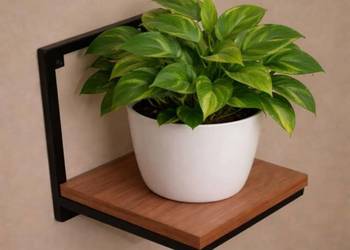 Półka na kwiaty ścienna