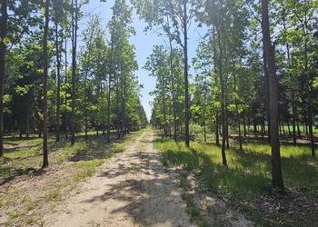 Działka bud. 1202M2; WZ; STUDNIE