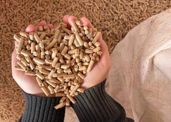 Podłoże dla gryzoni naturalny PELLET żwirek dla kota królika 10kg