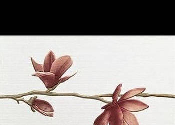 Dekor Kaleydos Magnolia Inserto 2 biały 30 x 45, Pilch, płytki, kafelki