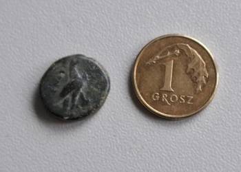 Moneta - antyczna Grecja, Aeolis, Kyme 350-250 BC.