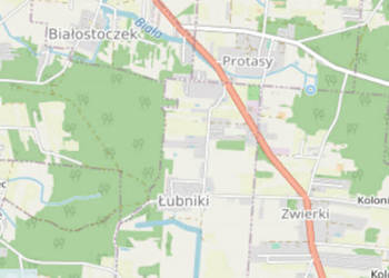 Działka 6000m2 Skrybicze