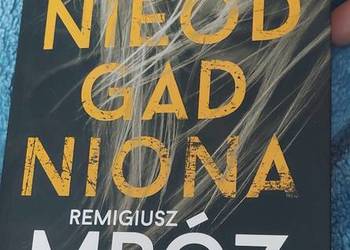 Remigiusz Mróz "Nieodgadniona"