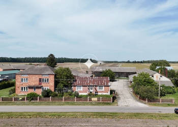 Budynki: produkcyjny i gospodarcze, dom - Mołożów