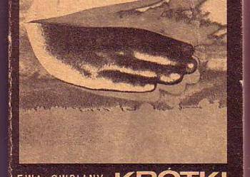 (8667) KRÓTKI POŁUDNIOWY CIEŃ – EWA OWSIANY