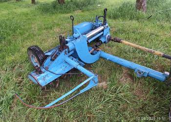 Glebogyzarka podkoronowa Glebogyzarka podkoronowa