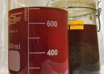 Olej dziurawcowy, świętojański 200ml