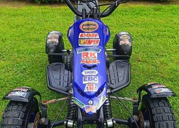 Mini quad 50