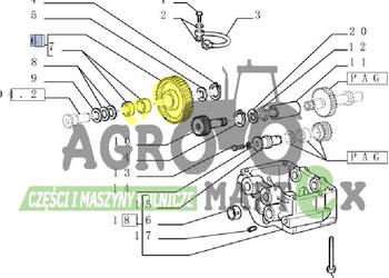 504096315, 4812932, 4793212 KOŁO ZĘBATE CNH