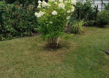 Sprzedam działkę Rodo