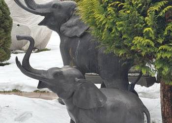 Słoń słonie z brązu duże i solidne