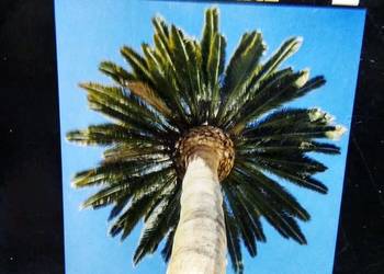 aula 4 hiszpański kursy językowe