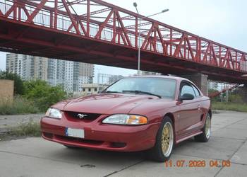 Ford Mustang SN95  5.0 V8