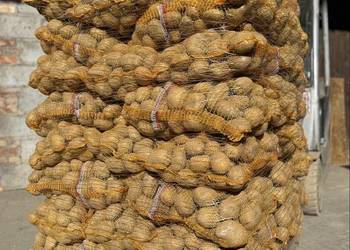 Sprzedam ziemniaki odmiany Soraya w kalibrażu 50+ worki 15kg na palecie