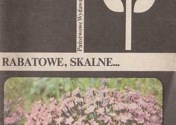 Mynett, GOŹDZIKI W OGRÓDKU, RABATOWE, SKALNE /fa