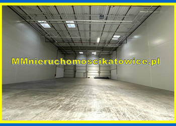 Hale ogrzewane do wynajęcia Katowice brama "0" doki biura socjal.