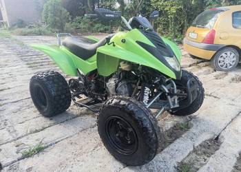 dinli 300 homologacja rejstrowany transport