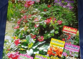 Twój ogród na to zasluguje - Działkowiec 2004 12 części Twój ogród na to zasluguje - Działkowiec 2004 12 części