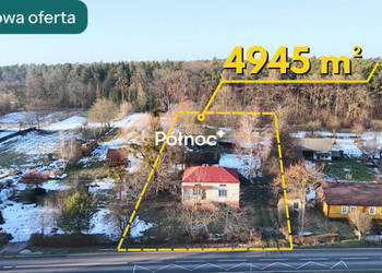 Malownicze siedlisko przy lesie. Jarosławiec