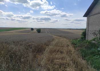 Zabudowania Teresin gm. Leśniowice + ziemia