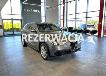 Alfa Romeo Stelvio Executive 2.0Turbo 280KM automat Q4 2019/2020 r., salon…