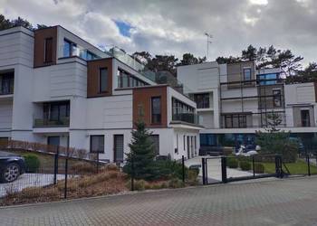 Apartament w Krynicy Morskiej. Termin 10-15 sierpnia