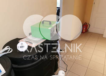 Odgrzybianie ścian Dębno - Kastelnik - Usuwanie grzybów i pleśni