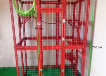 Woliera,wybieg