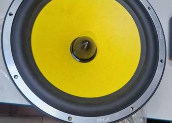 SUBWOOFER SWANS F12S