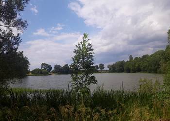 Działka budowlana przy drodze asfaltowej