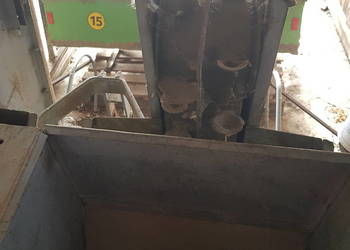 Sadzarka do ziemniaków s211 na pasach do podkiełkowanych