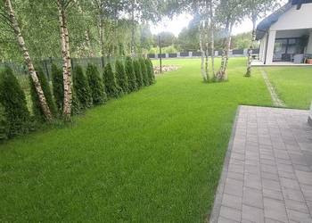 Zakładanie Trawnika