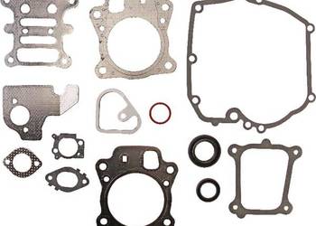 Zestaw uszczelek silnika 592173